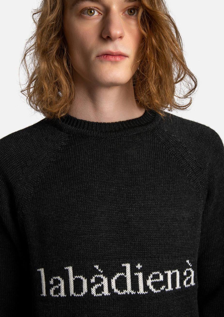 labàdienà Sweater